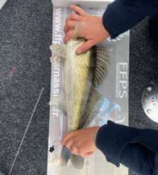 photo prise 28270 par AKIL-fishing