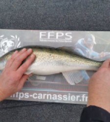 photo prise 28294 par SiriusFishingcool