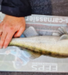 photo prise 28325 par SiriusFishingcool