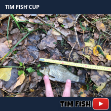 photo prise 28340 par Flo_carpfishing37