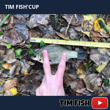 photo prise 28342 par Flo_carpfishing37
