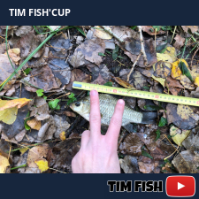 photo prise 28343 par Flo_carpfishing37