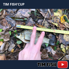 photo prise 28344 par Flo_carpfishing37