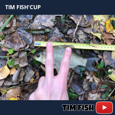 photo prise 28349 par Flo_carpfishing37