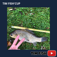 photo prise 28350 par Flo_carpfishing37
