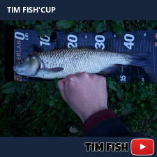 photo prise 28514 par FISH1MAX