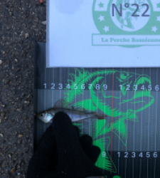 photo prise 28911 par ines._.prn
