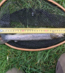 photo prise 29318 par Le grand brochet