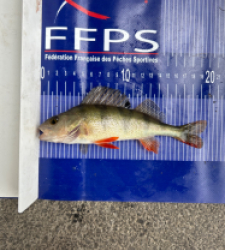 photo prise 30692 par Zander fishing 