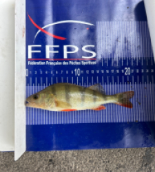 photo prise 30695 par Zander fishing 