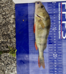 photo prise 30772 par Max2fishes