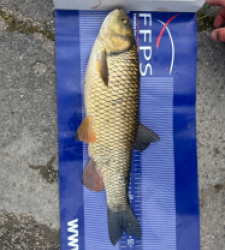 photo prise 30775 par Zander fishing 