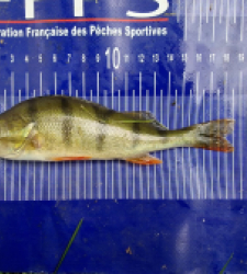 photo prise 30855 par Max2fishes