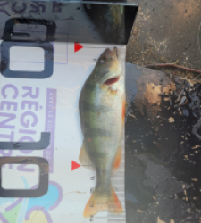 photo prise 31397 par Gaylordfishing