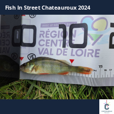 photo prise 33415 par FISH1MAX