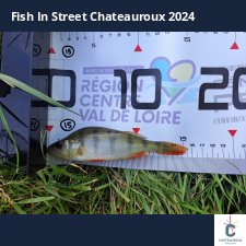 photo prise 33430 par FISH1MAX