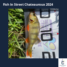 photo prise 33464 par Eddyfishing 
