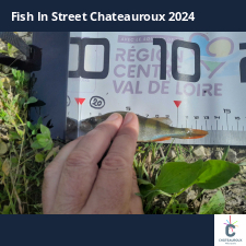 photo prise 33500 par JEAN RENE DENNETIERE