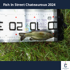 photo prise 33501 par Flo.fishing36 