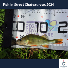 photo prise 33503 par FISH1MAX
