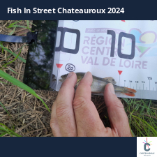 photo prise 33511 par JEAN RENE DENNETIERE