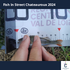 photo prise 33526 par JEAN RENE DENNETIERE