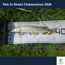 photo prise 33529 par Pecheur d'eau douce