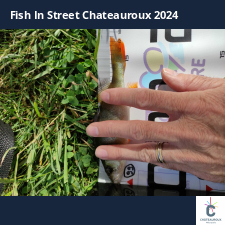 photo prise 33542 par bardiot.christophe