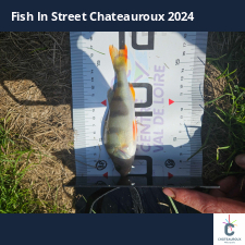 photo prise 33583 par Pecheur d'eau douce