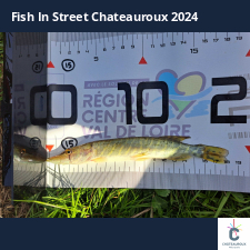 photo prise 33588 par FISH1MAX