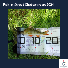 photo prise 33597 par Flo.fishing36 