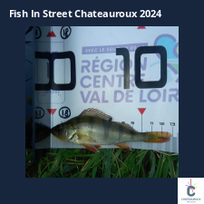 photo prise 33600 par 