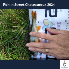 photo prise 33609 par bardiot.christophe