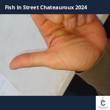 photo prise 33626 par Cletus18