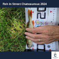 photo prise 33649 par bardiot.christophe