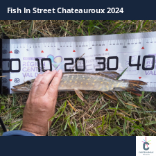 photo prise 33651 par JEAN RENE DENNETIERE
