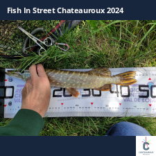 photo prise 33684 par bardiot.christophe