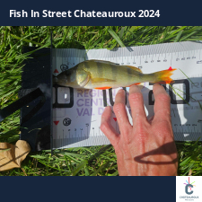 photo prise 33689 par Pecheur d'eau douce