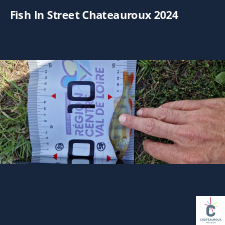 photo prise 33705 par Christophe