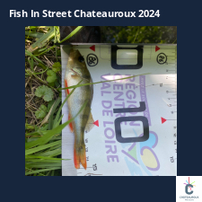 photo prise 33717 par Eddyfishing 