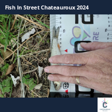photo prise 33749 par bardiot.christophe