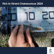 photo prise 33763 par JEAN RENE DENNETIERE