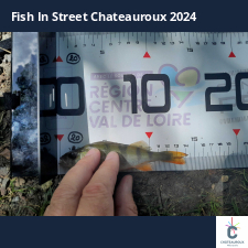 photo prise 33770 par JEAN RENE DENNETIERE
