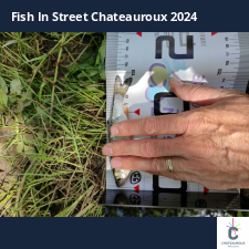 photo prise 33776 par bardiot.christophe