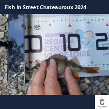 photo prise 33782 par JEAN RENE DENNETIERE