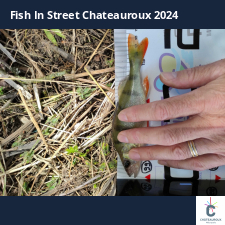 photo prise 33790 par bardiot.christophe