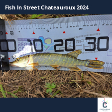 photo prise 33792 par FISH1MAX
