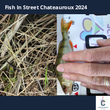 photo prise 33800 par bardiot.christophe