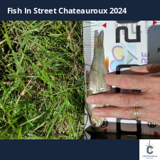 photo prise 33811 par bardiot.christophe