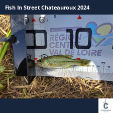 photo prise 33822 par FISH1MAX